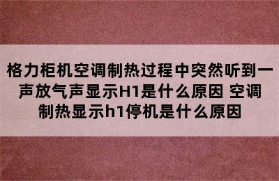 格力柜机空调制热过程中突然听到一声放气声显示H1是什么原因 空调制热显示h1停机是什么原因